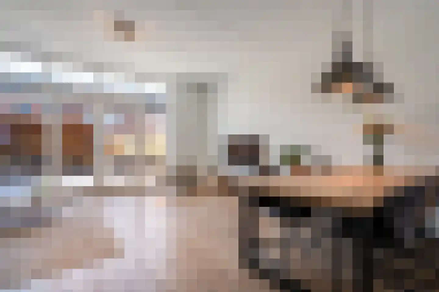 Havezathenallee 144 Zwolle thumbnail 5