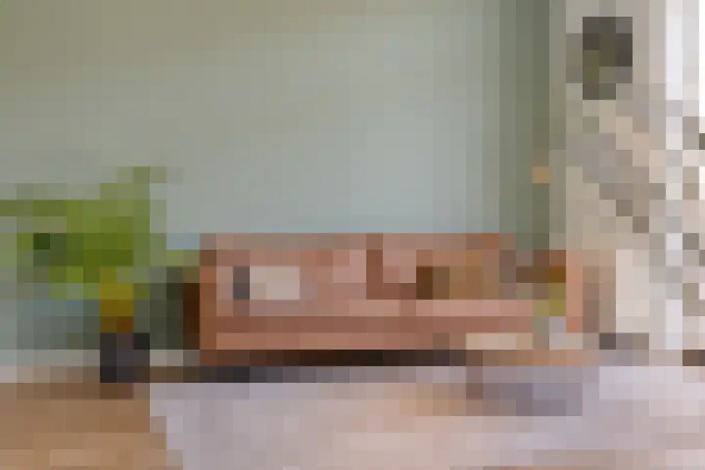 Havezathenallee 144 Zwolle thumbnail 8