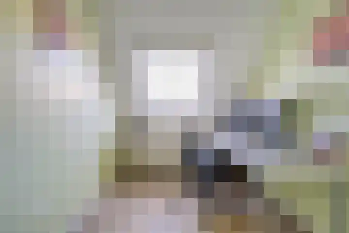 Havezathenallee 18 Zwolle thumbnail 11