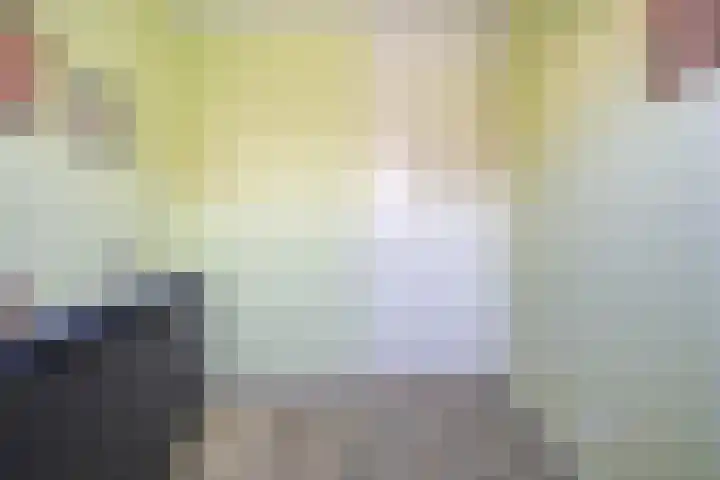 Havezathenallee 18 Zwolle thumbnail 12
