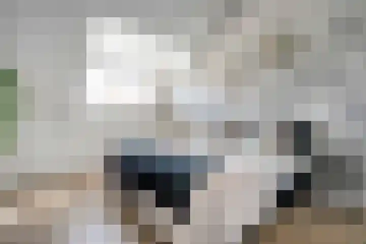 Havezathenallee 18 Zwolle thumbnail 20