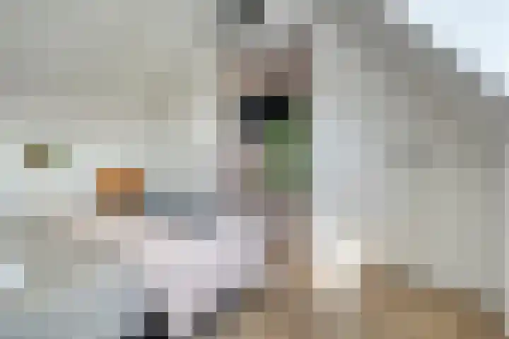 Havezathenallee 18 Zwolle thumbnail 22