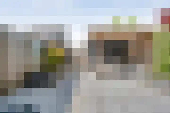 Havezathenallee 18 Zwolle thumbnail 24
