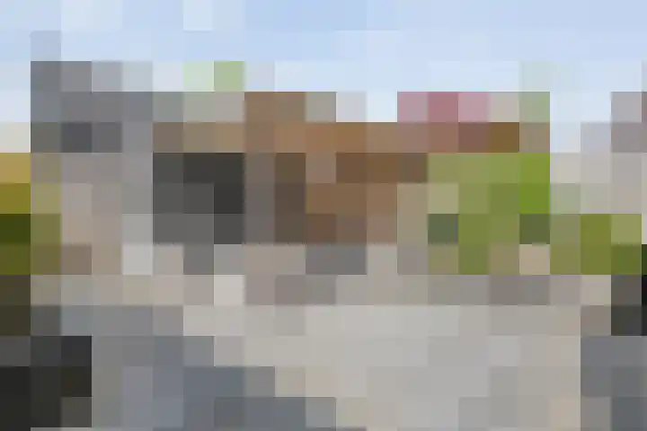 Havezathenallee 18 Zwolle thumbnail 25