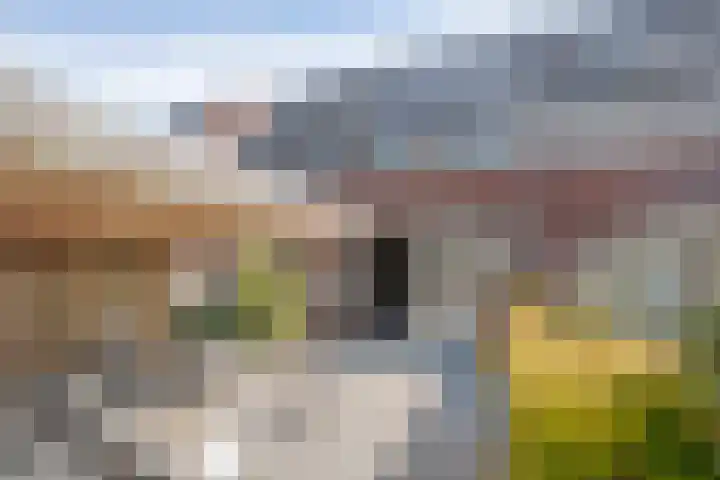 Havezathenallee 18 Zwolle thumbnail 28