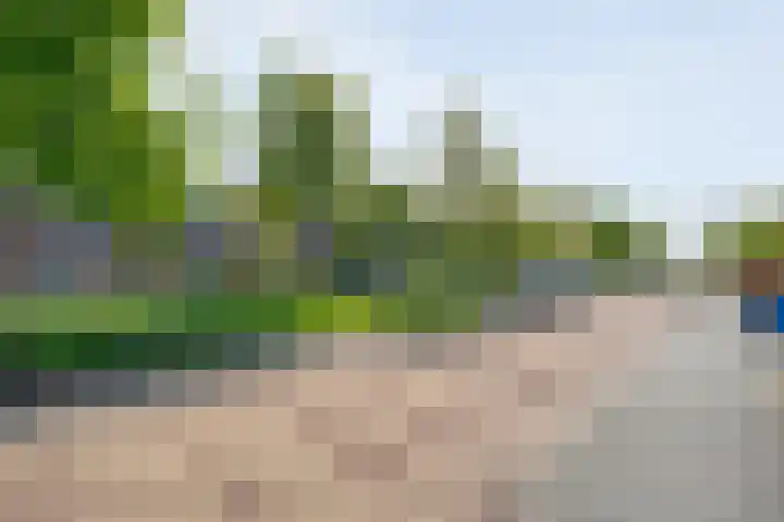 Havezathenallee 18 Zwolle thumbnail 31