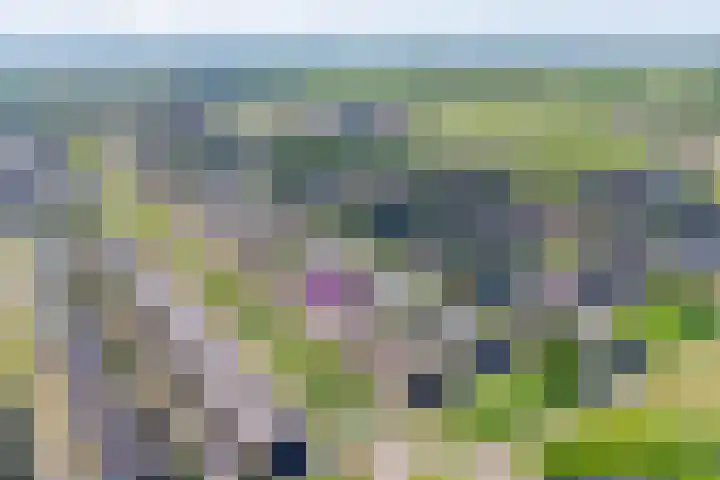 Havezathenallee 18 Zwolle thumbnail 32