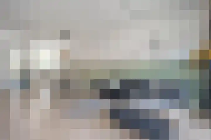 Havezathenallee 18 Zwolle thumbnail 6