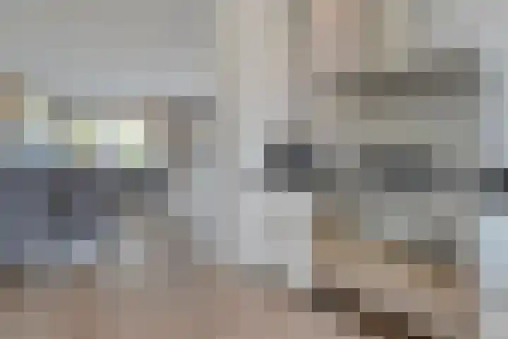 Havezathenallee 2 Zwolle thumbnail 11