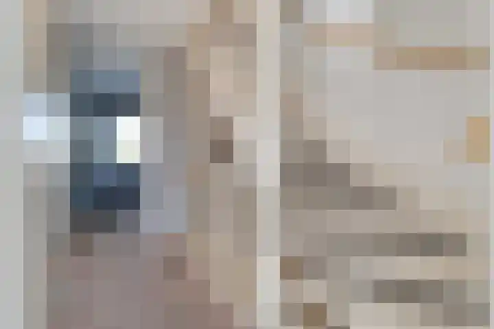Havezathenallee 2 Zwolle thumbnail 15