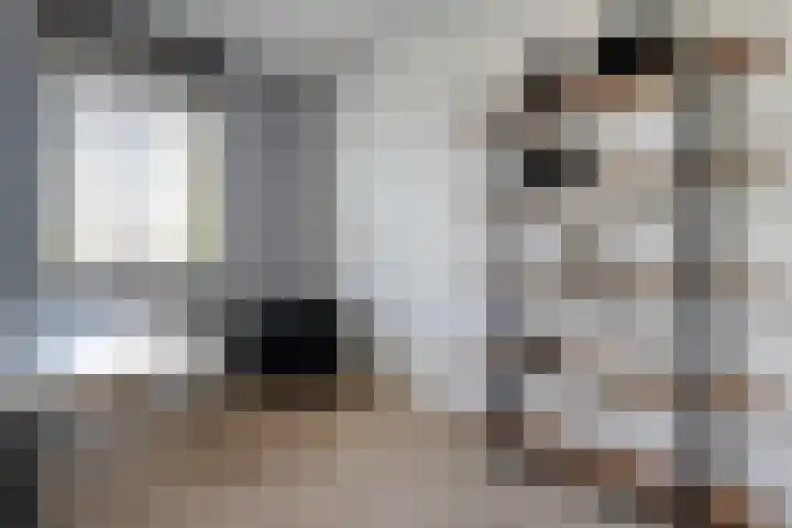 Havezathenallee 2 Zwolle thumbnail 16