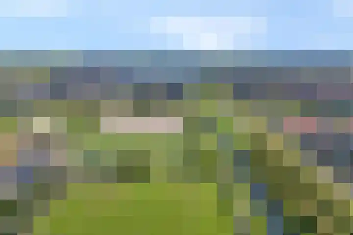 Havezathenallee 2 Zwolle thumbnail 35