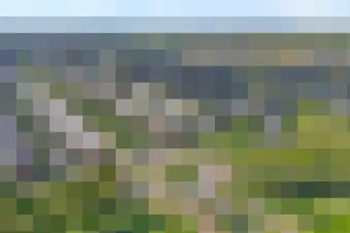 Havezathenallee 2 Zwolle thumbnail 36