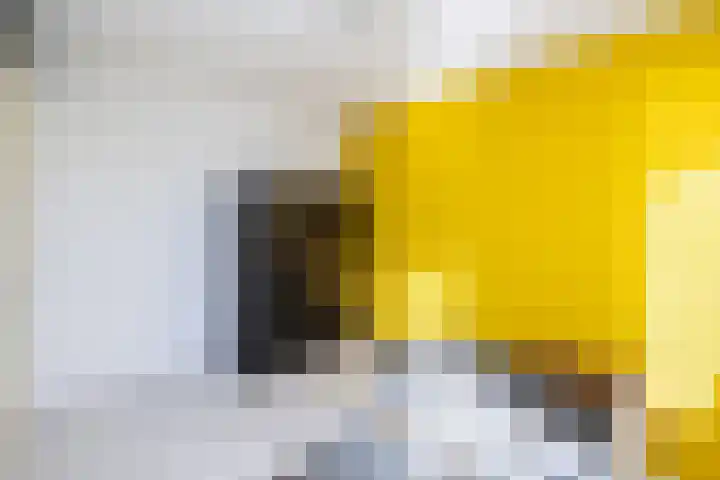 Havezathenallee 20 Zwolle thumbnail 15