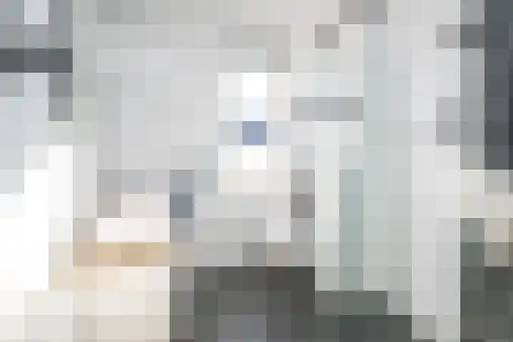 Havezathenallee 20 Zwolle thumbnail 17