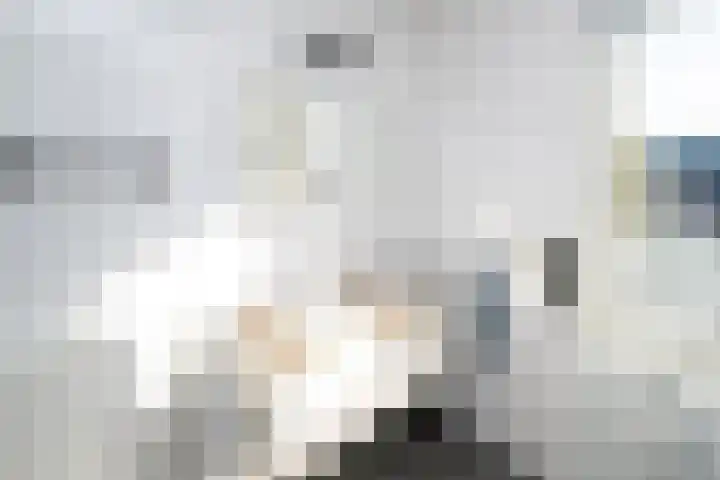 Havezathenallee 20 Zwolle thumbnail 18