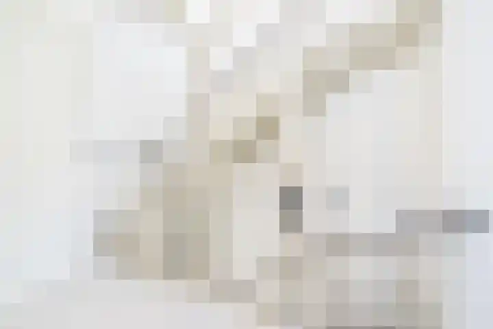 Havezathenallee 20 Zwolle thumbnail 20