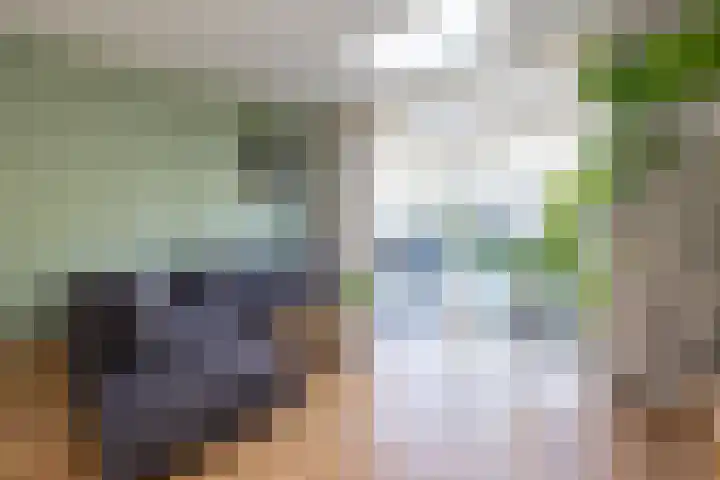 Havezathenallee 20 Zwolle thumbnail 5