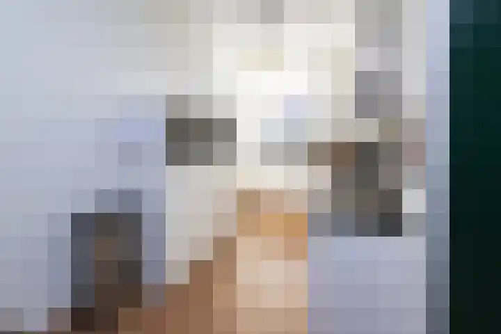 Havezathenallee 20 Zwolle thumbnail 8