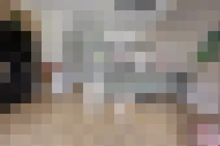 Havezathenallee 27 Zwolle thumbnail 12