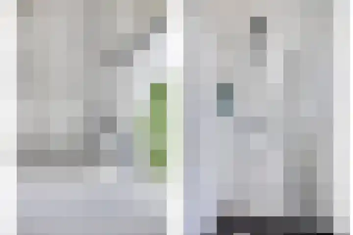 Havezathenallee 27 Zwolle thumbnail 16