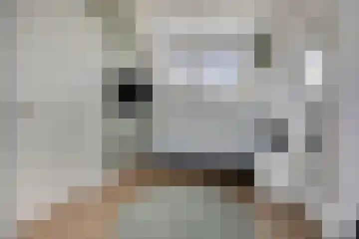 Havezathenallee 27 Zwolle thumbnail 20
