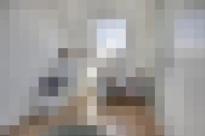 Havezathenallee 27 Zwolle thumbnail 21