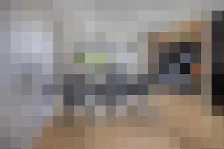 Havezathenallee 27 Zwolle thumbnail 5