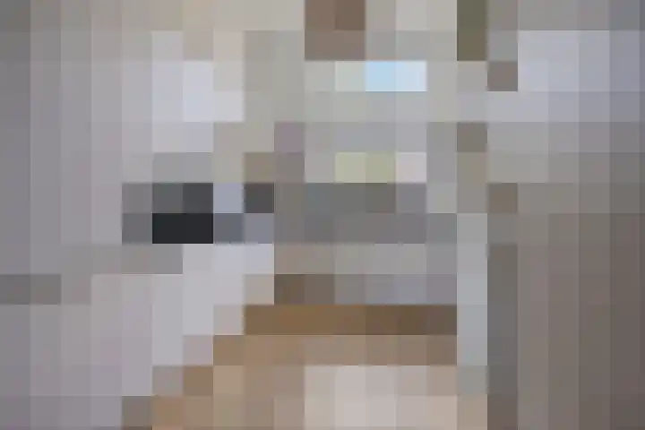Havezathenallee 27 Zwolle thumbnail 6