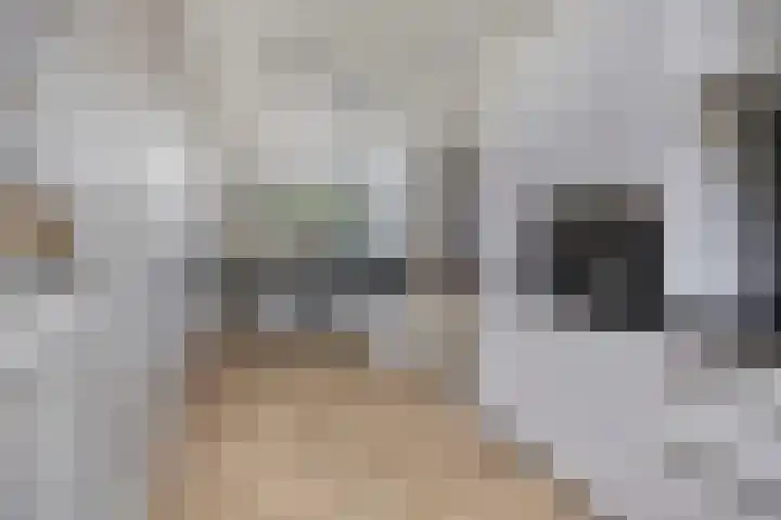 Havezathenallee 27 Zwolle thumbnail 7
