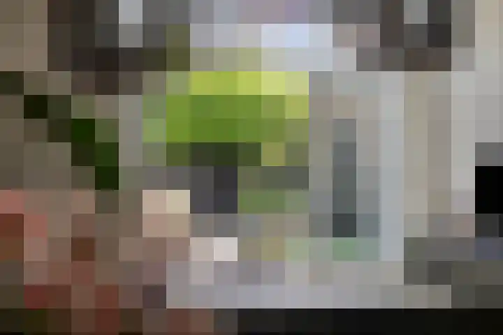 Havezathenallee 27 Zwolle thumbnail 8