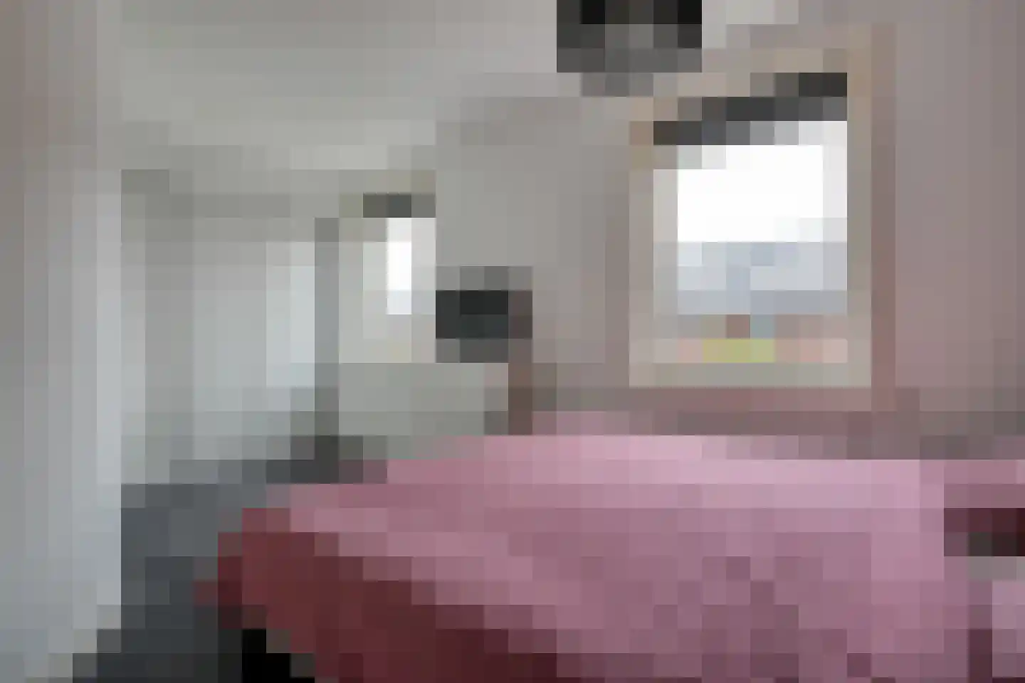 Havezathenallee 47 Zwolle thumbnail 19