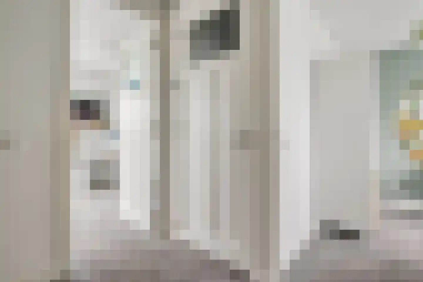 Havezathenallee 47 Zwolle thumbnail 30