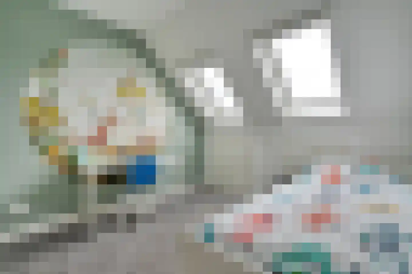 Havezathenallee 47 Zwolle thumbnail 33