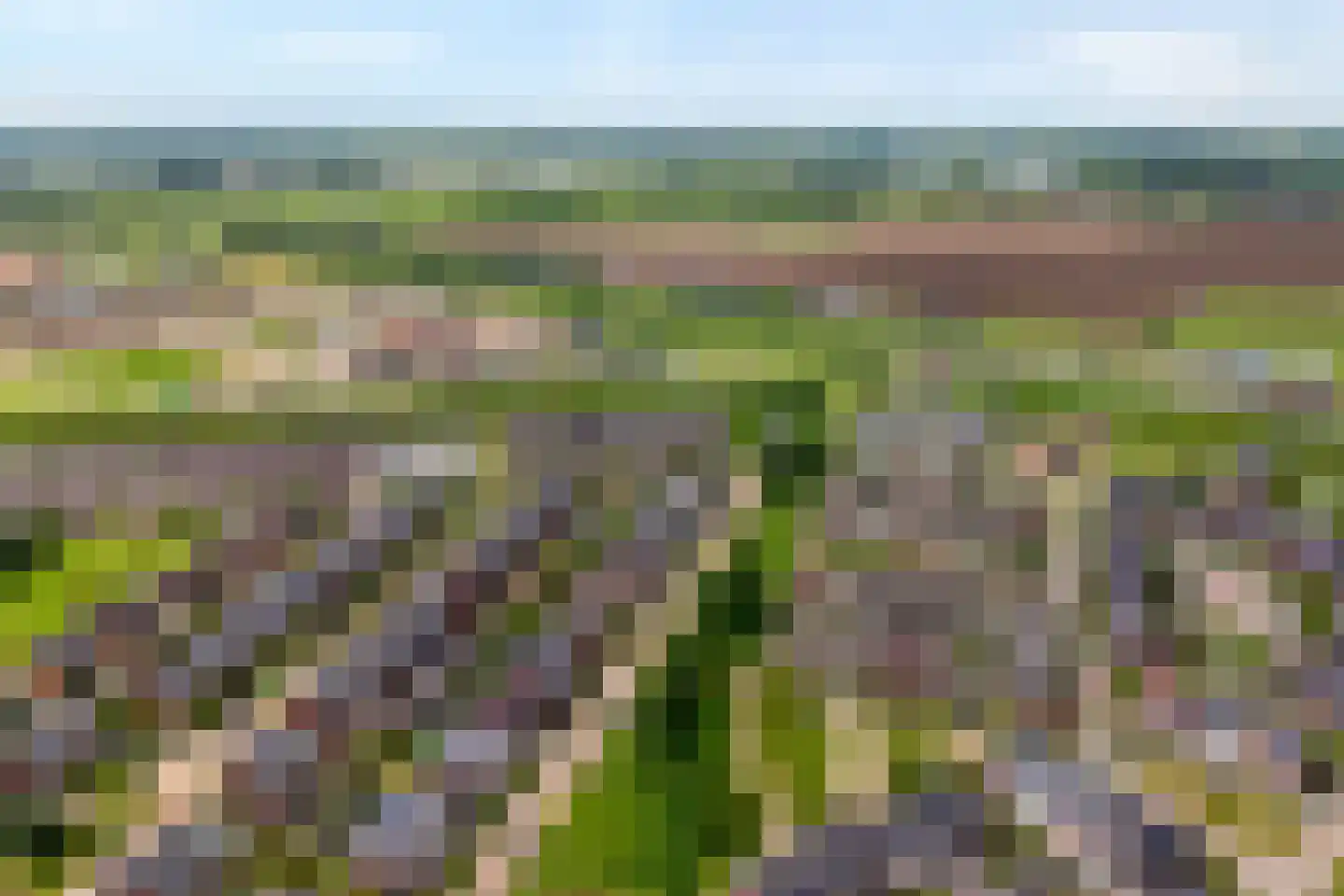 Havezathenallee 47 Zwolle thumbnail 50