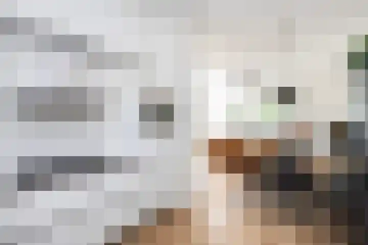 Havezathenallee 48 Zwolle thumbnail 13