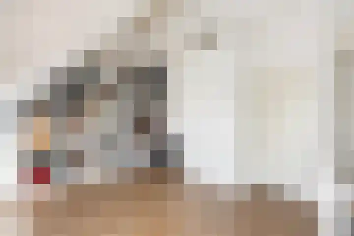 Havezathenallee 48 Zwolle thumbnail 27