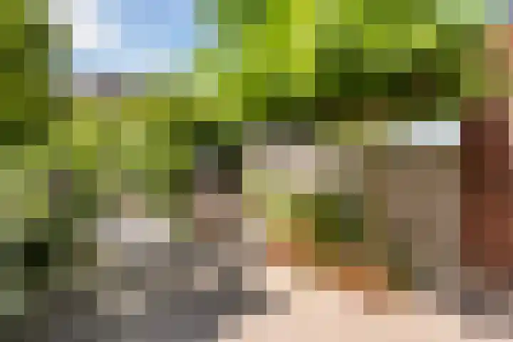 Havezathenallee 48 Zwolle thumbnail 30