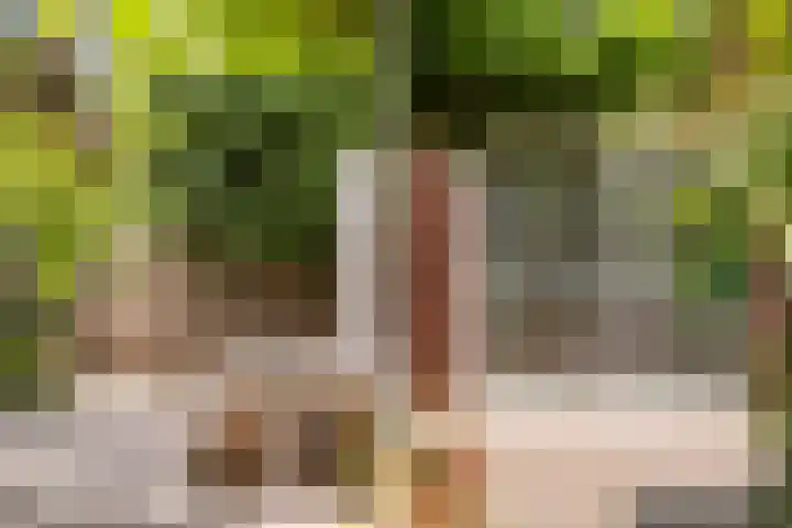 Havezathenallee 48 Zwolle thumbnail 31