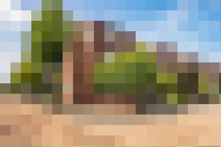 Havezathenallee 48 Zwolle thumbnail 32
