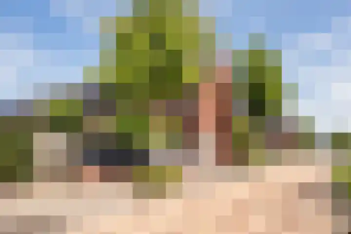 Havezathenallee 48 Zwolle thumbnail 33