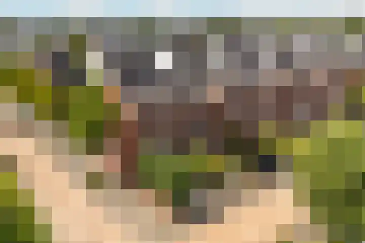 Havezathenallee 48 Zwolle thumbnail 34