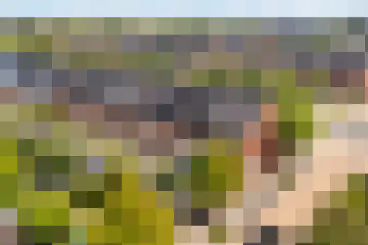 Havezathenallee 48 Zwolle thumbnail 35