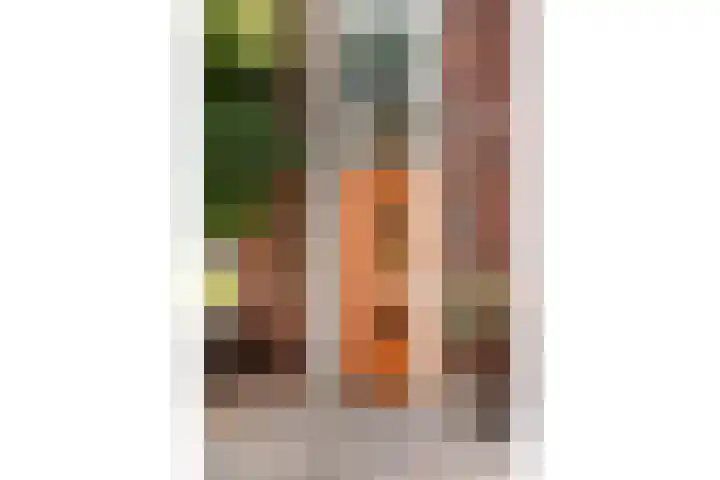 Havezathenallee 48 Zwolle thumbnail 4