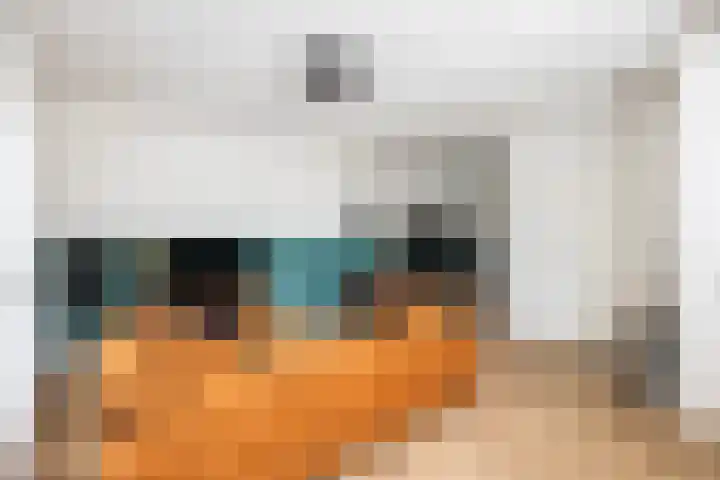 Havezathenallee 48 Zwolle thumbnail 7