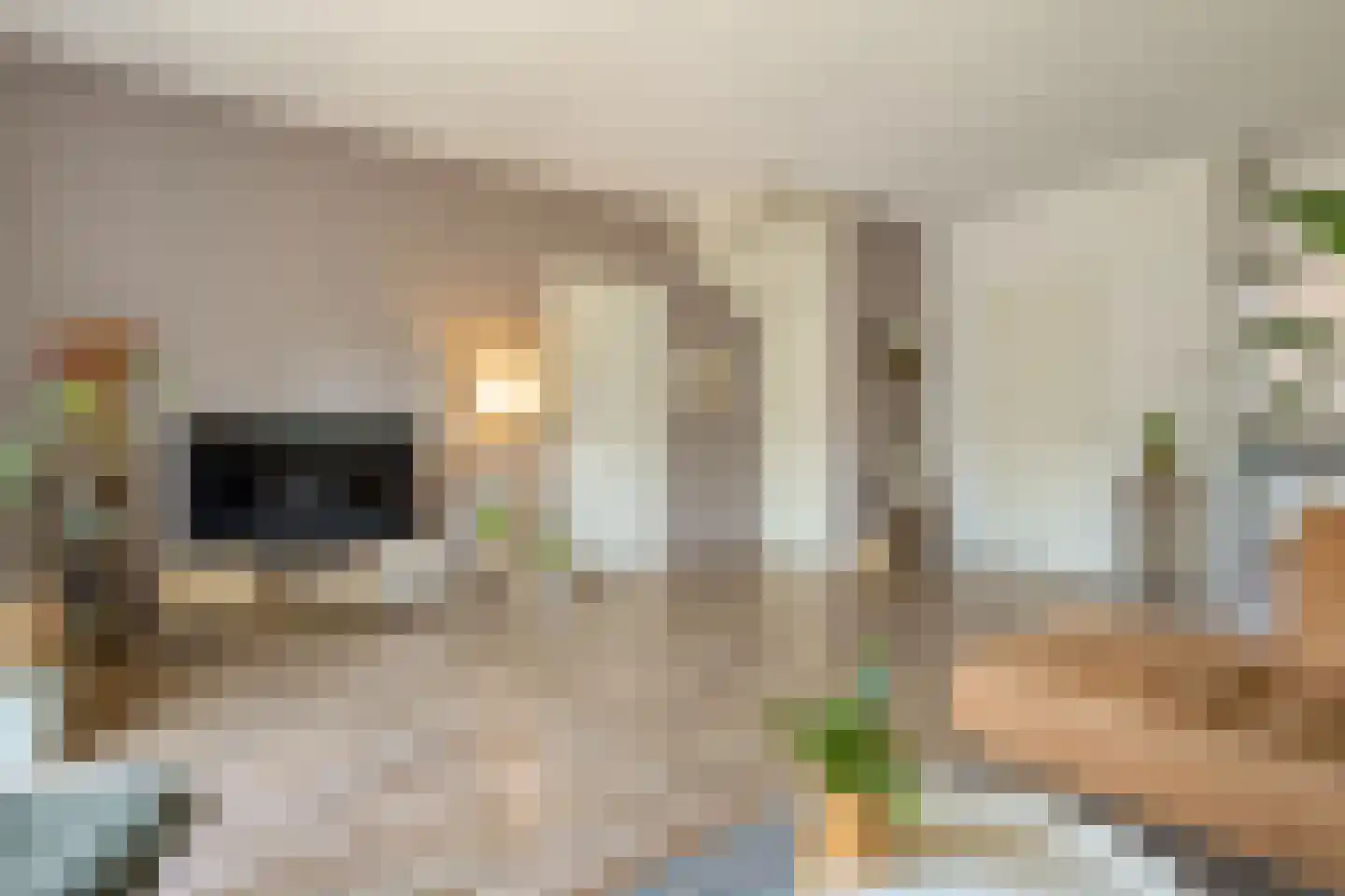 Havezathenallee 80 A Zwolle thumbnail 11