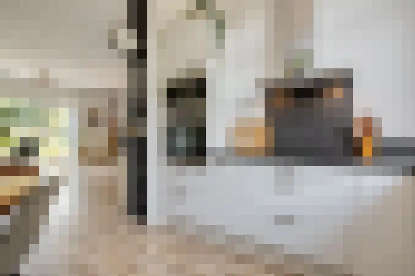 Havezathenallee 80 A Zwolle thumbnail 16