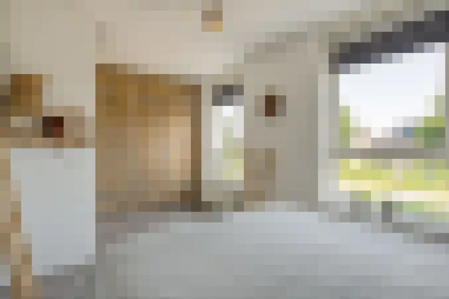 Havezathenallee 80 A Zwolle thumbnail 24