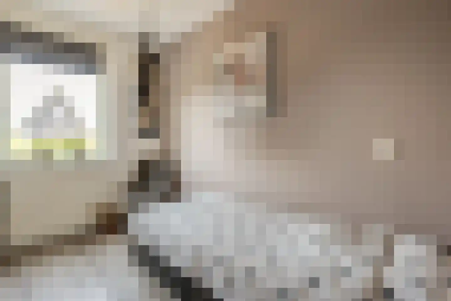 Havezathenallee 80 A Zwolle thumbnail 25