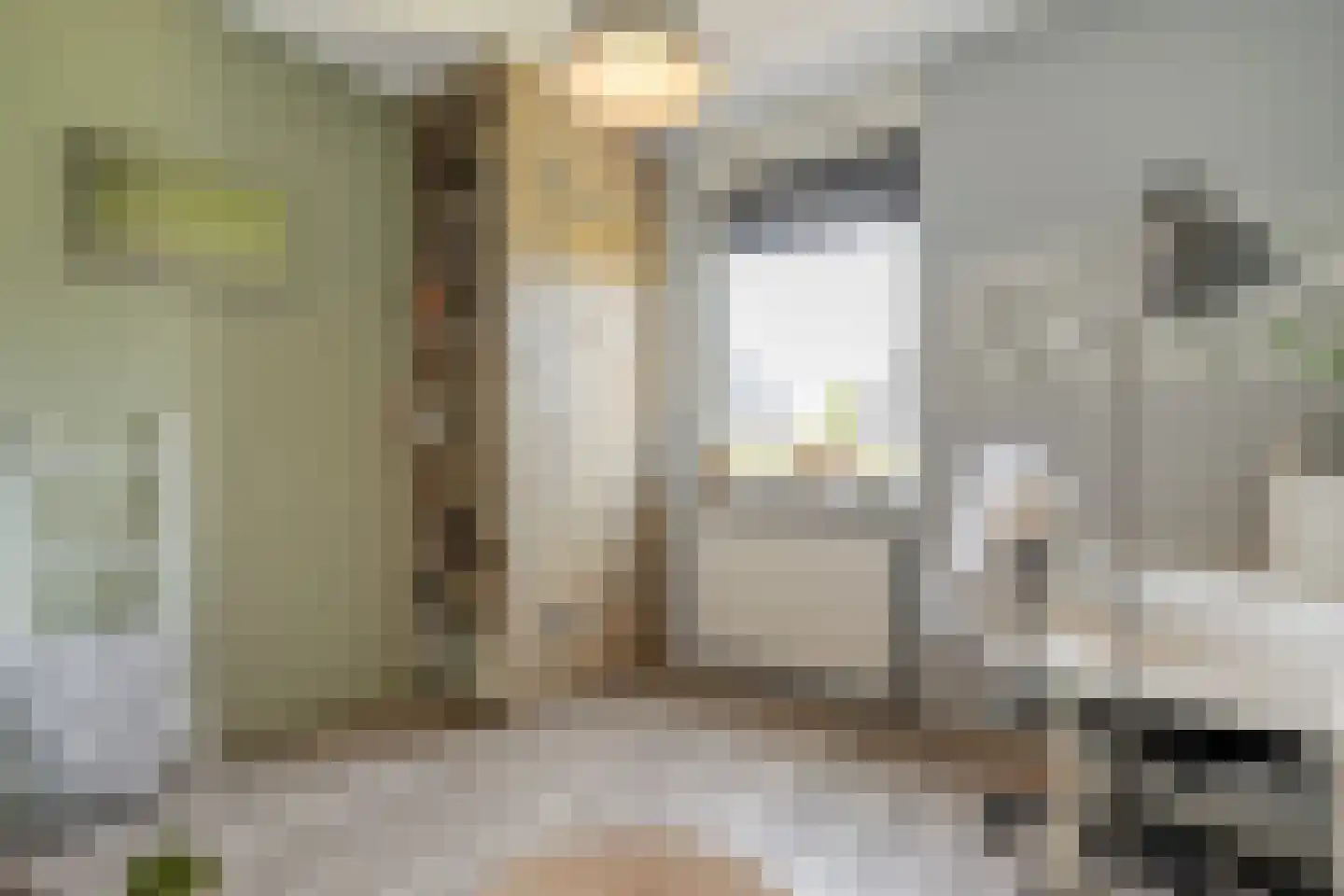 Havezathenallee 80 A Zwolle thumbnail 27